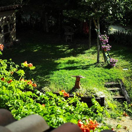 Arcadia Villa Spello Bagian luar foto