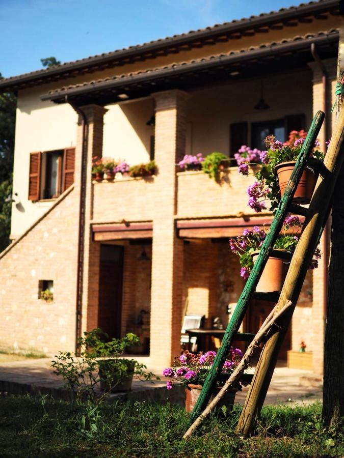 Arcadia Villa Spello Bagian luar foto