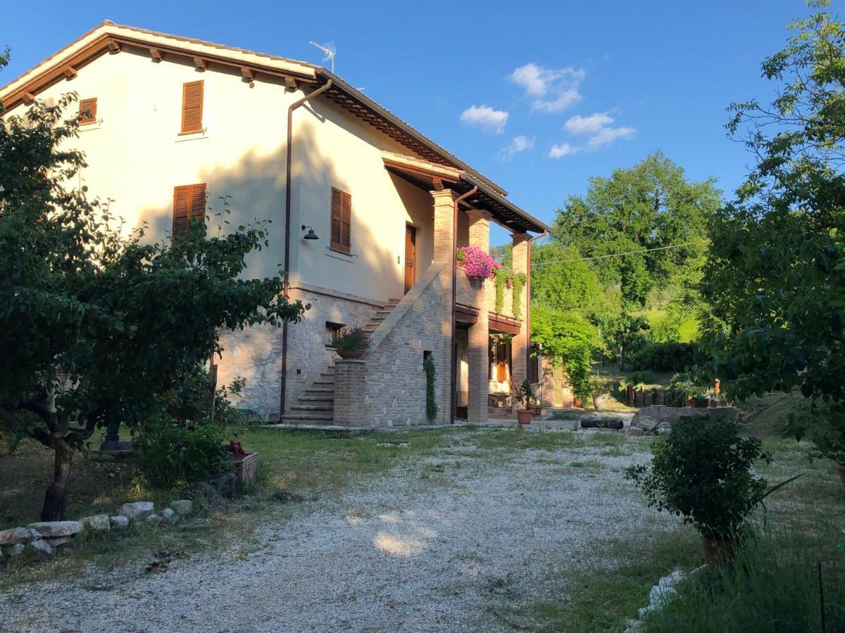 Arcadia Villa Spello Bagian luar foto