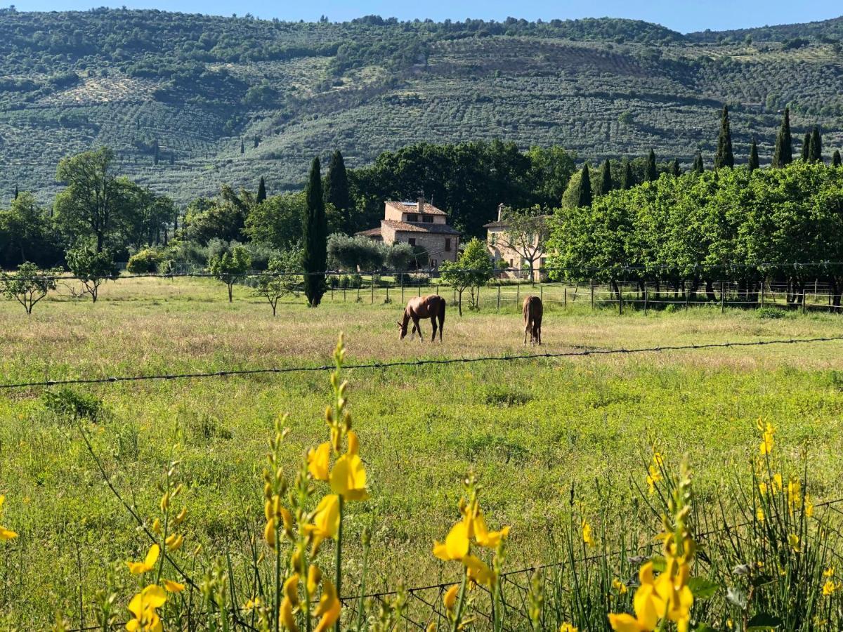 Arcadia Villa Spello Bagian luar foto